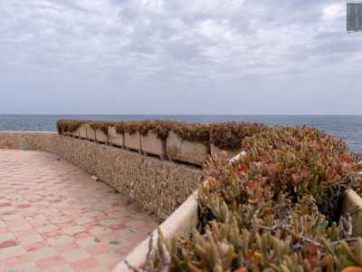Da qui possiamo andare verso destra o verso sinistra. Scegliamo di continuare a camminare sulla terrazza spostandoci verso il braccio nord del lido e seguendo un corridoio costeggiato da un parapetto su cui sopravvivono delle piante grasse